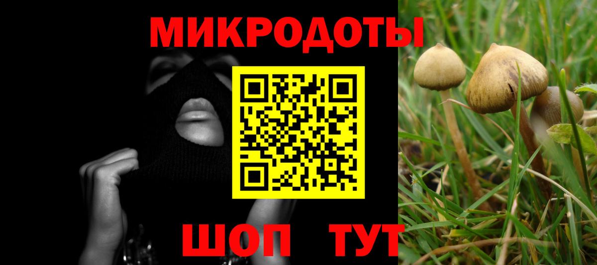 Нурлат  Псилоцибиновые грибы мицелий  магазин продажи наркотиков  Вход с VPN 